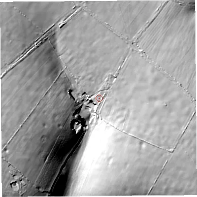 Shaded relief map of the ground around DT83SQ, computed from Environment Agency LiDAR. The ground here sits at about 231 m above sea level and falls 45 m across the surrounding 800 m. Surface water reaching this point runs off ground lying to the east-north-east, 11.9 m higher.