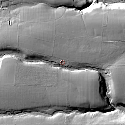 Shaded relief map of the ground around NE462LJ, computed from Environment Agency LiDAR. The ground here sits at about 270 m above sea level and falls 59 m across the surrounding 800 m. Surface water reaching this point runs off ground lying to the west-north-west, 12.9 m higher.