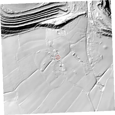Shaded relief map of the ground around PL267QH, computed from Environment Agency LiDAR. The ground here sits at about 117 m above sea level and falls 109 m across the surrounding 800 m. Surface water reaching this point runs off ground lying to the north-east, 36.2 m higher.