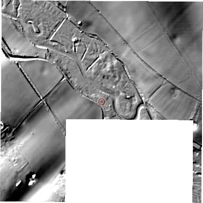 Shaded relief map of the ground around RG208BU, computed from Environment Agency LiDAR. The ground here sits at about 84 m above sea level and falls 34 m across the surrounding 800 m. Surface water reaching this point runs off ground lying to the south-west, 7.9 m higher.