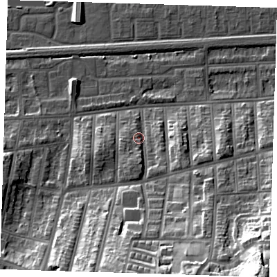 Shaded relief map of the ground around SE20TG, computed from Environment Agency LiDAR. The ground here sits at about 6 m above sea level and falls 40 m across the surrounding 800 m. Surface water reaching this point runs off ground lying to the south-south-east, 24.5 m higher.