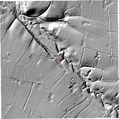 Shaded relief map of the ground around SY147DW, computed from Environment Agency LiDAR. The ground here sits at about 46 m above sea level and falls 21 m across the surrounding 800 m. Surface water reaching this point runs off ground lying to the south, 13.3 m higher.