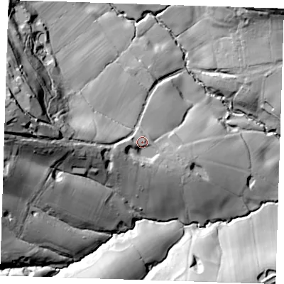 Shaded relief map of the ground around TN206NF, computed from Environment Agency LiDAR. The ground here sits at about 89 m above sea level and falls 63 m across the surrounding 800 m. Surface water reaching this point runs off ground lying to the west-south-west, 11.0 m higher.