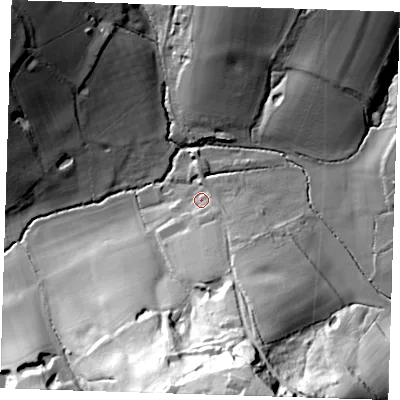 Shaded relief map of the ground around TN30LH, computed from Environment Agency LiDAR. The ground here sits at about 40 m above sea level and falls 59 m across the surrounding 800 m. Surface water reaching this point runs off ground lying to the south-south-east, 42.6 m higher.