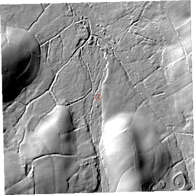 Shaded relief map of the ground around TQ139XD, computed from Environment Agency LiDAR. The ground here sits at about 275 m above sea level and falls 54 m across the surrounding 800 m. Surface water reaching this point runs off ground lying to the south-south-west, 33.4 m higher.